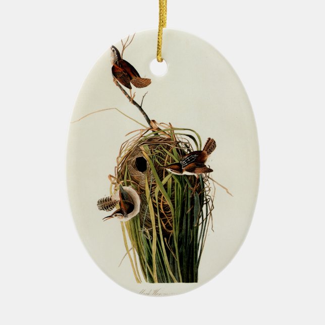 Adorno De Cerámica Audubon Marsh Wren Bird Art (Frente)