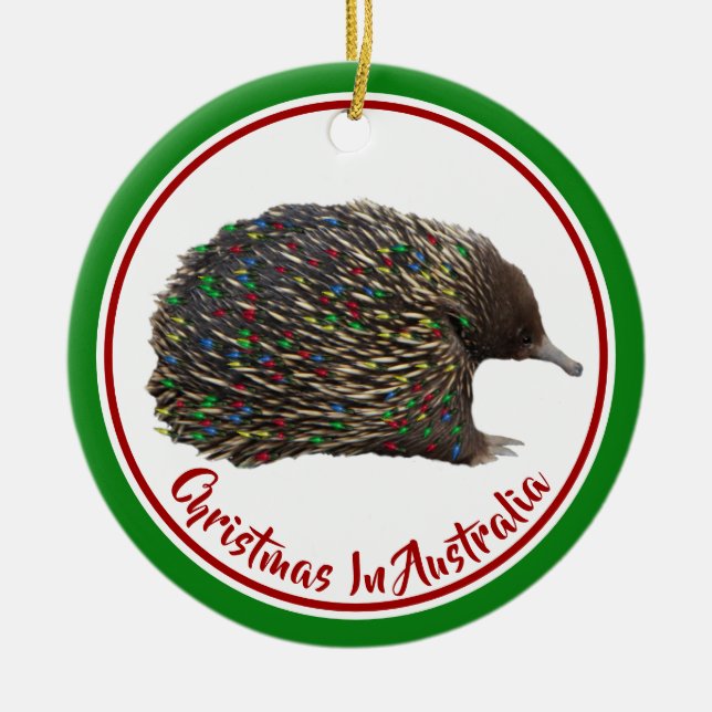 Adorno De Cerámica Australia festiva Echidna con luces Navidades (Frente)