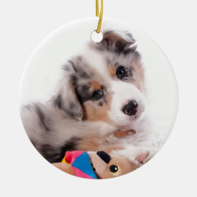 Adorno De Cerámica Australian shepherd puppy (Frente)