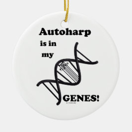 Adorno De Cerámica Autoharp en mis genes