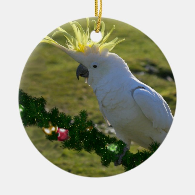Adorno De Cerámica Ave Cockatoo en Australia (Frente)
