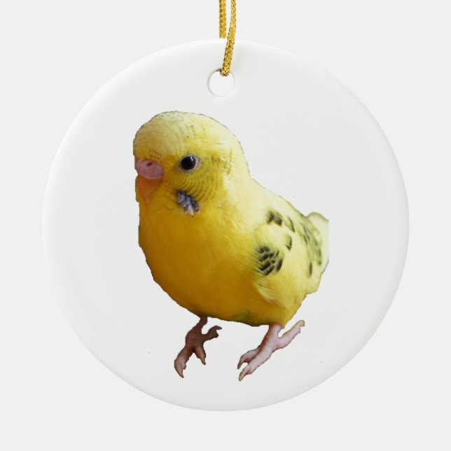 Adorno De Cerámica Ave Mascota amigable de paracaídas amarillo lindo. (Frente)