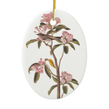 Ave misteriosa del Cuvier Audubon