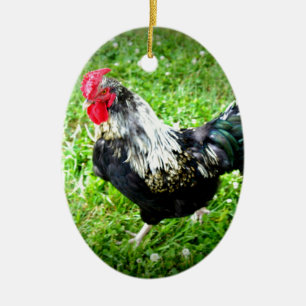 Adorno De Cerámica Aves de la granja