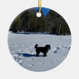 Adorno De Cerámica AWorld2Celebrate: Perro de la nieve de Tahoe