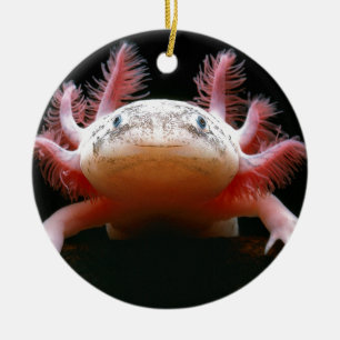 Adorno De Cerámica Axolotl Axolotl.png