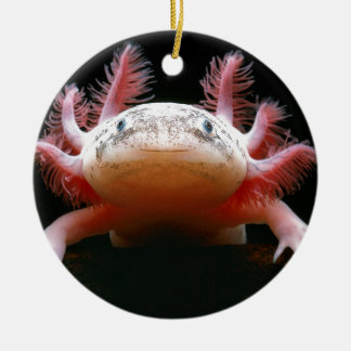 Adorno De Cerámica Axolotl Axolotl.png