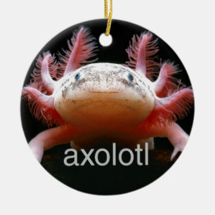 Adorno De Cerámica Axolotl del Axolotl del Axolotl del Axolotl