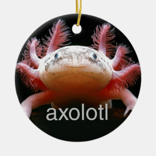 Adorno De Cerámica Axolotl del Axolotl del Axolotl del Axolotl (Frente)