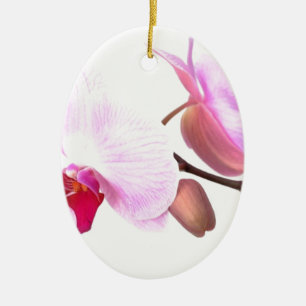 Adorno De Cerámica Aziza Orchid Blossoms