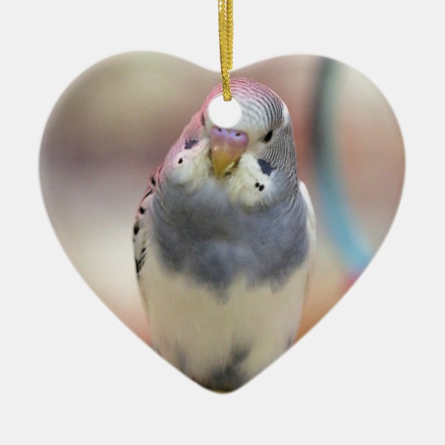 Adorno De Cerámica Azul (Frente)