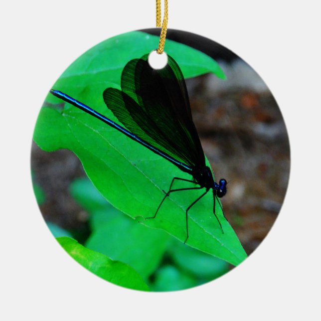 Adorno De Cerámica Azul de Damselfly sobre una hoja verde. (Frente)