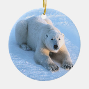 Adorno De Cerámica Azul del oso polar