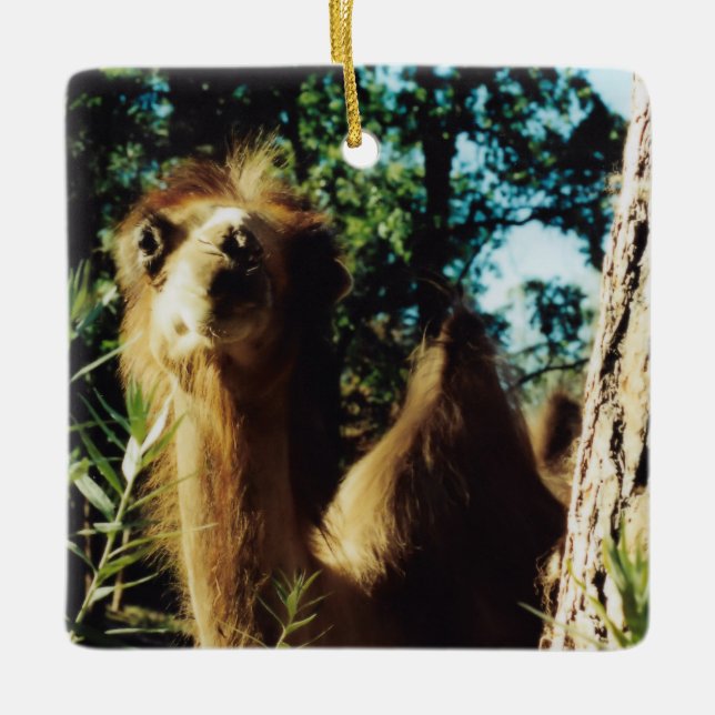 Adorno De Cerámica Baba pacífica (Anverso)