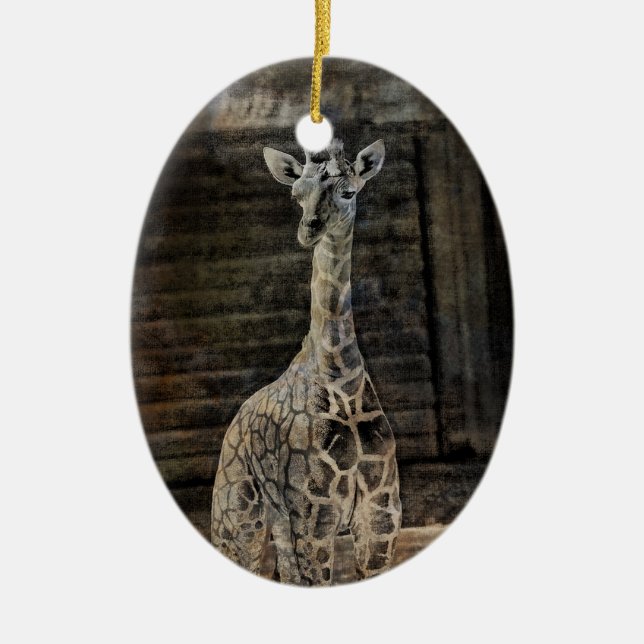 Adorno De Cerámica Baby Giraffe (Frente)