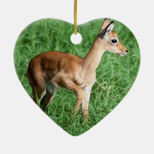 Adorno De Cerámica Baby impala