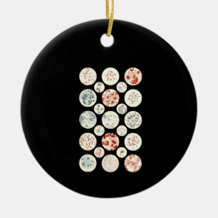 Adorno De Cerámica bacterias microbiología divertida bacteriología 