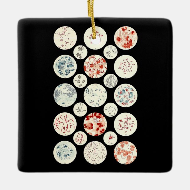 Adorno De Cerámica bacterias microbiología divertida bacteriología ci (Anverso)