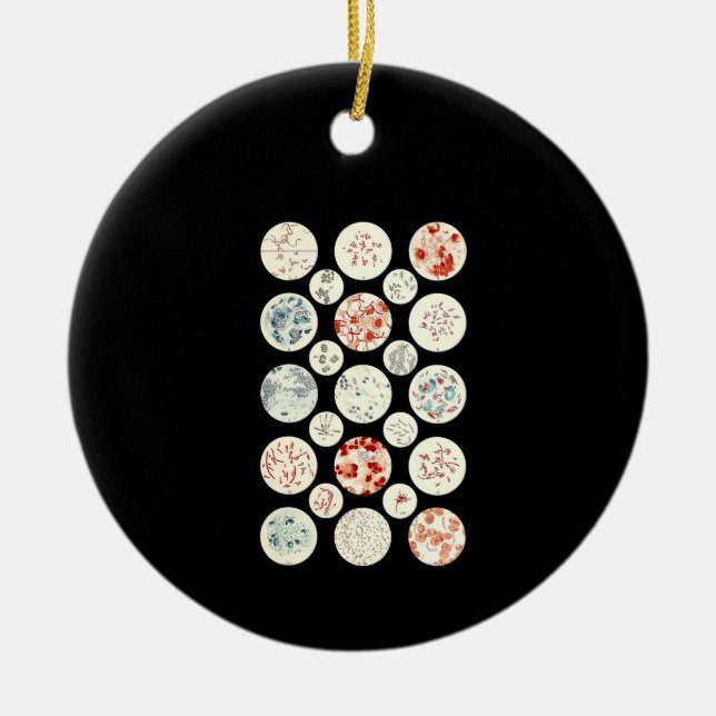 Adorno De Cerámica bacterias microbiología divertida bacteriología ci (Frente)