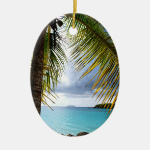 Adorno De Cerámica Bahía del canela, St. John USVI
