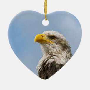 Adorno De Cerámica Bald Eagle