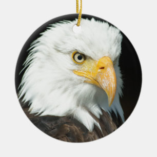 Adorno De Cerámica Bald Eagle