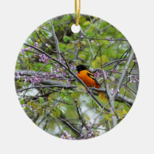 Adorno De Cerámica Baltimore Oriole