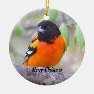 Adorno De Cerámica Baltimore Oriole