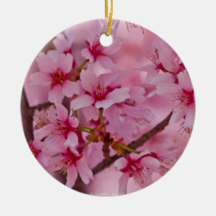 Adorno De Cerámica Bañado en flores de cerezo japonesas rosadas