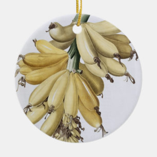 Adorno De Cerámica Banana, 1816