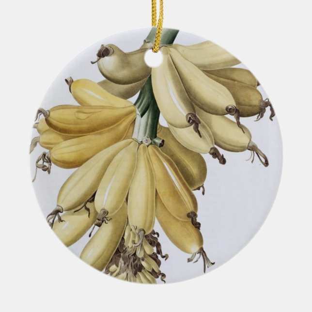 Adorno De Cerámica Banana, 1816 (Frente)