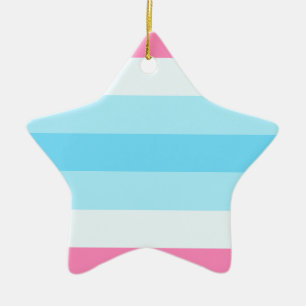 Adorno De Cerámica bandera del transmasculine