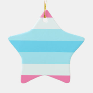Adorno De Cerámica bandera del transmasculine