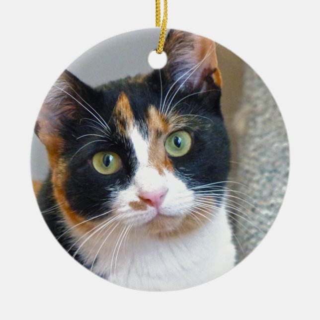 Adorno De Cerámica Bandit (Frente)