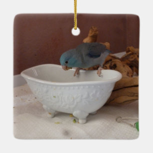 Adorno De Cerámica Baño de Parrotlet