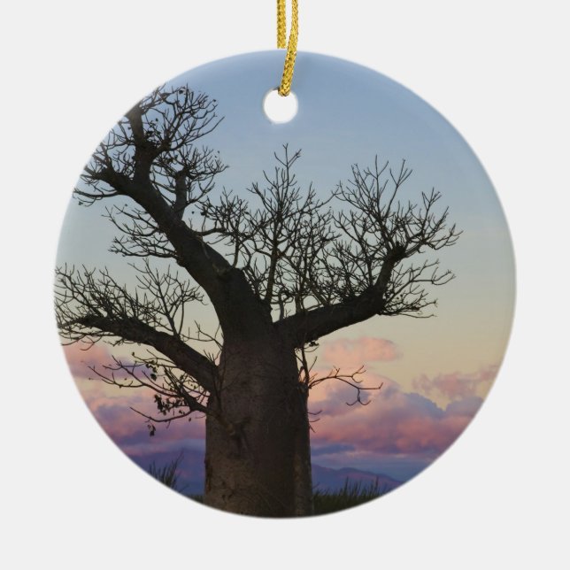 Adorno De Cerámica Baobab, Berenty, Toliara, Madagascar (Frente)