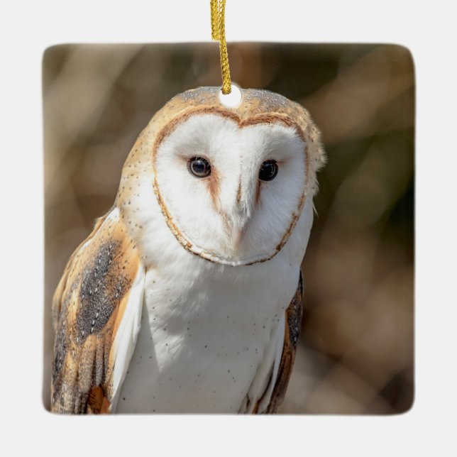 Adorno De Cerámica Barn Owl (Anverso)