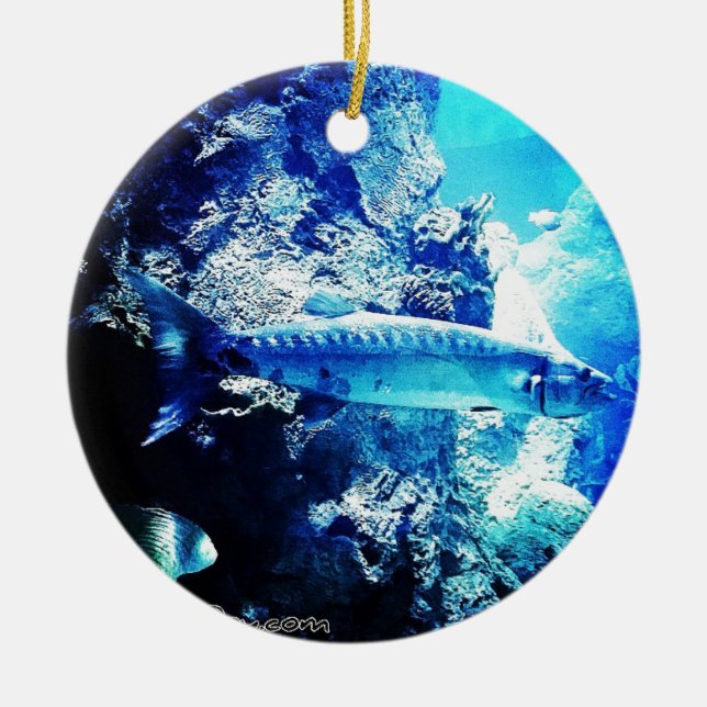 Adorno De Cerámica Barracuda (Frente)