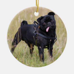 Adorno De Cerámica Barro amasado negro que pega hacia fuera Tounge