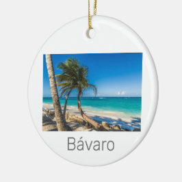 Adorno De Cerámica Bavaro Beach Caribe República Dominicana Souvenir