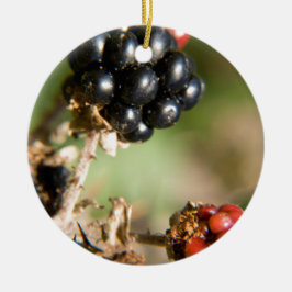 Adorno De Cerámica Bayas de Otoño