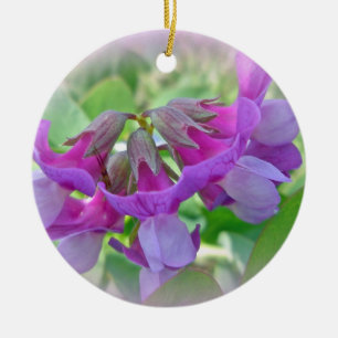 Adorno De Cerámica Beach Pea - Lathyrus japonicus - Flor silvestre