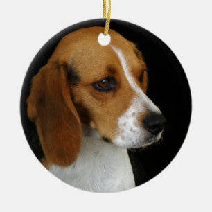 Adorno De Cerámica Beagle clásico