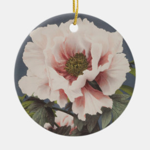 Adorno De Cerámica Beautiful photomechanical prints of Peony Flowers