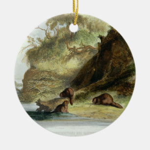 Adorno De Cerámica Beaver la choza en el Missouri, platee 17 del