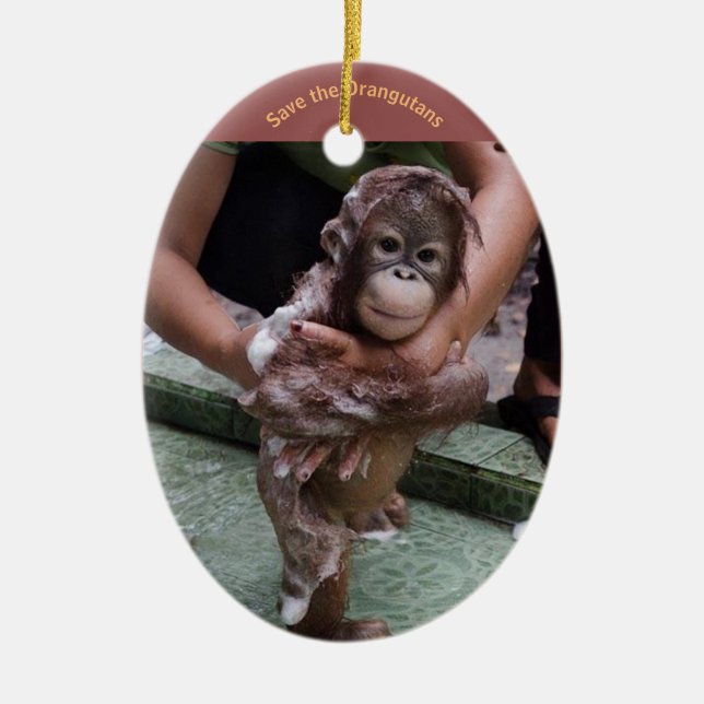 Adorno De Cerámica Bebé de Orangutan (Frente)