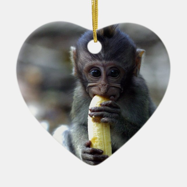 Adorno De Cerámica Bebé lindo macaco mono comiendo banana (Frente)