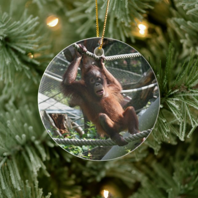 Adorno De Cerámica Bebé Orangutan - Aguanta ahí. (Árbol)