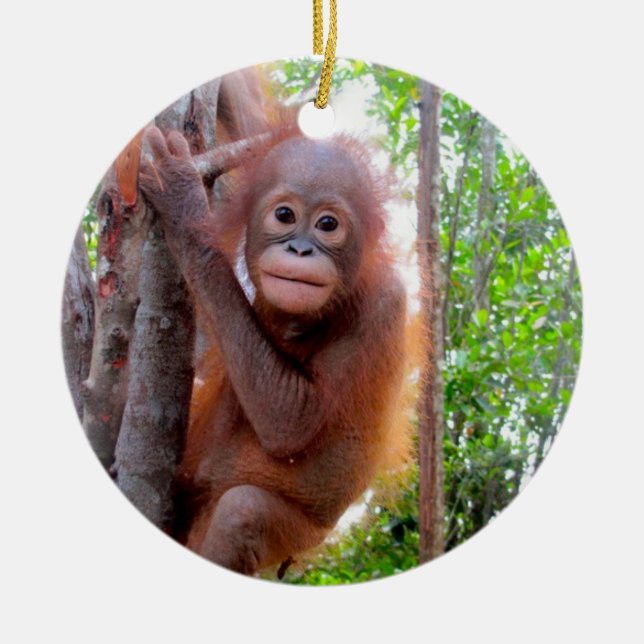 Adorno De Cerámica Bebé Uttuh del orangután (Frente)