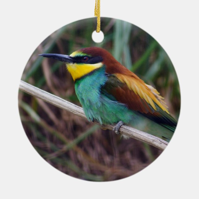 Adorno De Cerámica Bee-eater (Atrás)